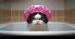 © touchedbylight - Cat Grooming Grumpy Cat in Pink Shower Cap: Bathroom Grooming Humor