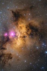Wall Mural - Pink Light Shining in Star Filled Sky