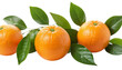 © Shapon - Orange with green leaf fresh fruit