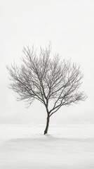 Wall Mural - Tree stands alone in a snowy landscape under a foggy sky during winter season