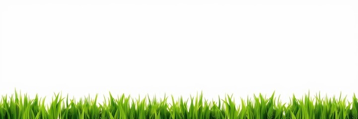 Wall Mural - Bright green seamless grass border for design projects, background, realistic, seamless