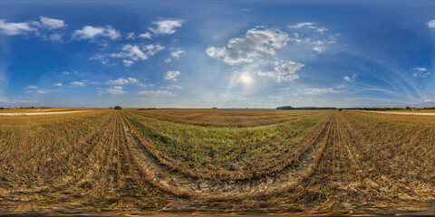 Wall Mural - hdri 360 panorama on farming fields in spring nasty evening before sunset in equirectangular full se