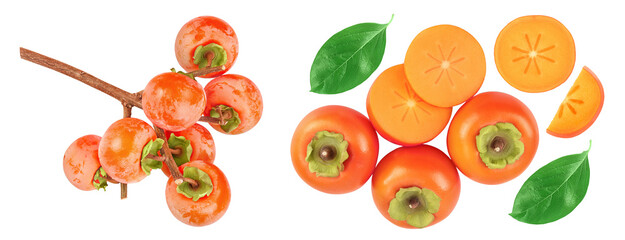 Wall Mural - Persimmon fruit on the branch isolated on white background with full depth of field. Top view. Flat lay