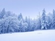 © Prayad - Snow-covered forest with sparkling trees and a clear path, wilderness, cold