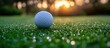 © JSTYLO - Golf Ball on Dewy Green