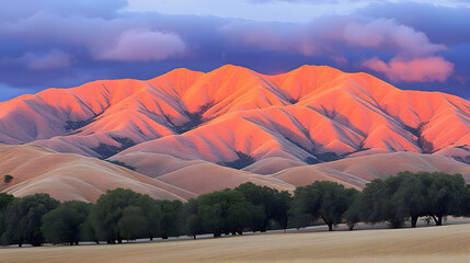 Wall Mural - Sunset illuminating rolling hills and trees.