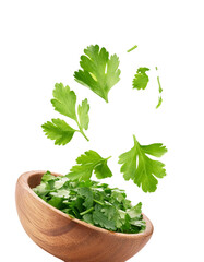 Wall Mural - falling chopped cilantro isolated on white background with full depth of field with natural herbal a