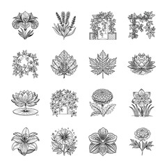 Wall Mural - Collection of Herbs and Plants Hand Drawn Illustrations 

