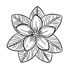 Wall Mural - A doodle style icon of jasmine flower