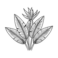 Wall Mural - A hand drawn icon of paradise plant