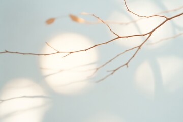 Poster - Abstract Tree Branches with Soft Light Patterns in a Surreal Landscape