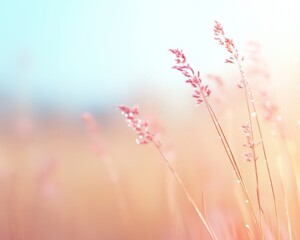 Aufkleber - Dew-Kissed Grass Blades in Ethereal Light An Organic and Surreal Natural Scene