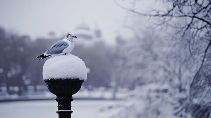 Wall Mural - Seagull perched on snow-covered lamp post during winter storm in serene urban landscape