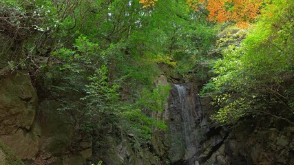 Wall Mural - Autumn mountains, colorful maples and waterfalls, Japanese landscape