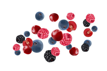 Poster - Mixed berries smoothies fruit splashing of Tropical fruits isolated on white background. Vector in 3D illustrations.