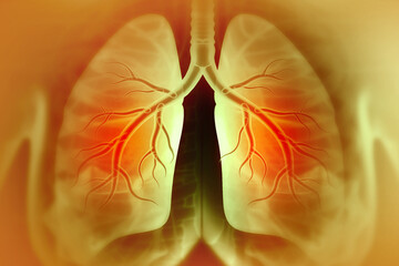 Wall Mural - Chronic obstructive pulmonary disease, respiratory diseases, 3d illustration