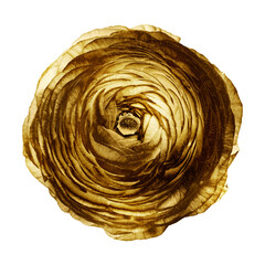 Wall Mural - Gold ranunculus flower sticker with a white border