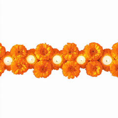 Wall Mural - orange marigold flower on white background