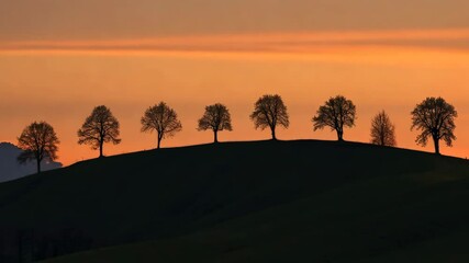 Wall Mural - Beautiful silhouettes of trees on rolling hills with a vibrant sunset in the background. Scenic and serene sunset landscape.