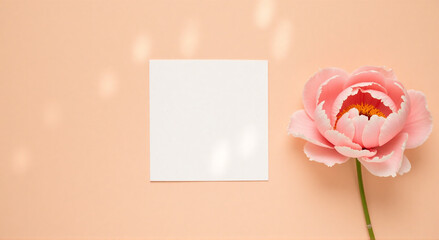 Wall Mural - pink tulip with card