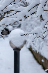 Wall Mural - snow covered branches and a lantern in the park in early winter twilight