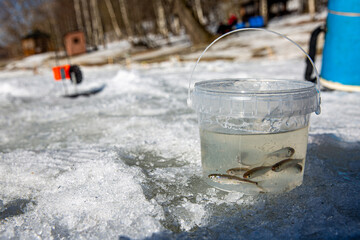 A clear plastic bucket filled with small live fish sits on an icy surface. The bright sunlight highlights the fish and the frozen landscape, capturing the essence of winter fishing
