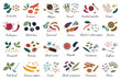 © Elena - Spices collection, vector illustrations set of national herbs and condiments, cooking ingredients and spice blends, chili pepper, fennel, tamarind, turmeric doodle icons, ground in spoons and bowls