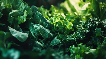 Poster - Green Leafy Vegetables Close Up