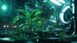 © Supakit - Thriving Seedling in Futuristic Biome with Glowing Lights