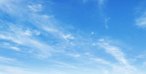 Wall Mural - the sky is blue and clear with no clouds