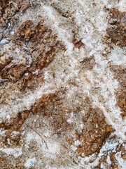 Wall Mural - Textured surface of natural stone with transitions of beige, gray and brown. Stone with unique natural patterns with varied textures and details,