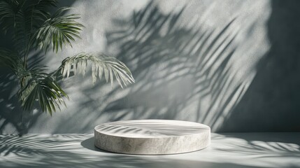 Aufkleber - Minimalist empty podium with tropical palm leaf shadows on gray wall for cosmetic product display and design presentation background