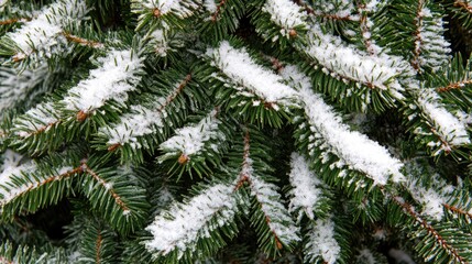 Aufkleber - Snow-covered Christmas tree branches adorned with winter decorations creating a festive and serene holiday atmosphere.
