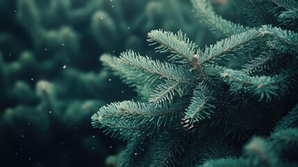 Aufkleber - Festive Close-Up of Christmas Tree Branches with Soft Snowfall Effect Suitable for Holiday Themes and Seasonal Decorations