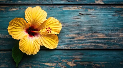 Wall Mural - vibrant yellow hibiscus flower on rustic wooden surface showcasing natural beauty and texture in flo