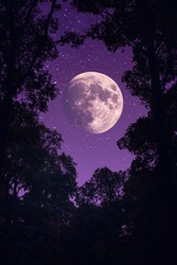 Wall Mural - Full moon in forest