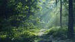 © FAJIYUSNI - Tranquil Forest Walk. Nature's Beauty Unveiled