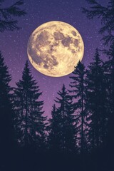 Wall Mural - Full moon in forest at night