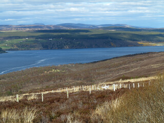 dornoch firth from struie hill viewpoint on the b9176 - highland - scotland - uk