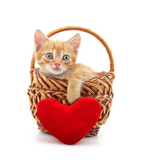 Wall Mural - Small kitten in a basket and heart.