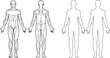 © Bhismodeb - Anatomical Illustration of the Human Body Vector Illustration