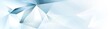 © Maxim Borbut - A white lactic geometric universal background featuring an abstract elegant seamless pattern. This minimalist design includes an empty-shaped layout and light trendy banner elements. It incorporates