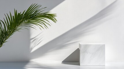 Wall Mural - a pristine white pedestal stands against a bright wall, with distinct shadows from palm leaves creat