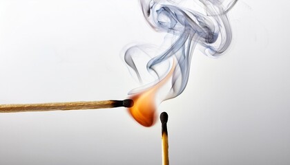 Wall Mural - burning match with smoke