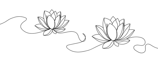 Wall Mural - lotus illustration of a flower line art style vector with transparent background editable stroke.