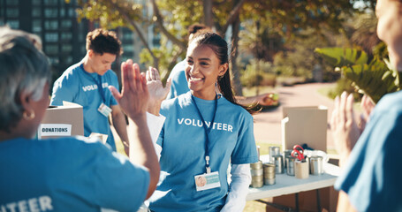 Wall Mural - Outdoor, volunteer and friends with high five, help and goals for donations, charity and support. Non profit, people and group in park, teamwork and gesture with problem solving and community service