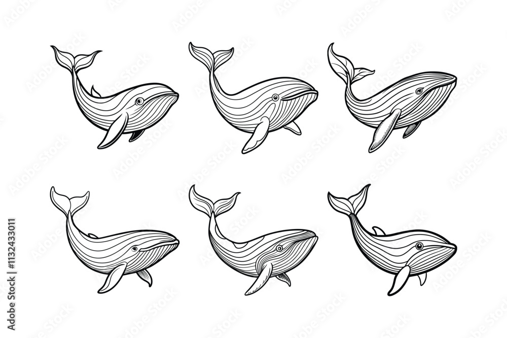 blue whale line art vector illustration Stock Vector | Adobe Stock