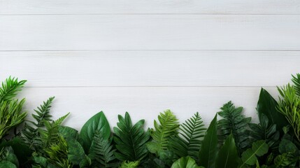 Poster - A variety of green leaves in different shapes are neatly arranged on a white wooden surface. The soft natural light enhances the fresh and simple look