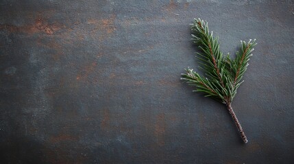 Poster - Delicate evergreen sprig rests on a textured stone surface, enhanced by frost crystals and gentle reflections, creating a serene, nature-inspired aesthetic