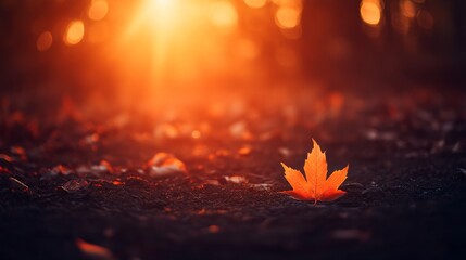 Poster - A solitary orange maple leaf lies on a soft forest floor, illuminated by warm autumn light while other faint leaves surround it, capturing nature’s tranquility